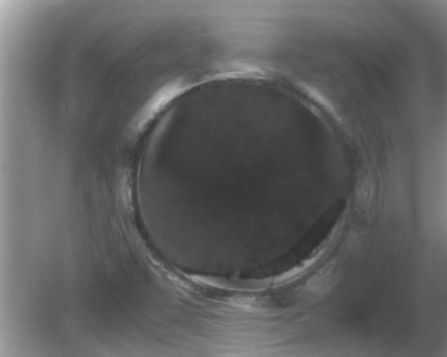 X0000081491455200701191846