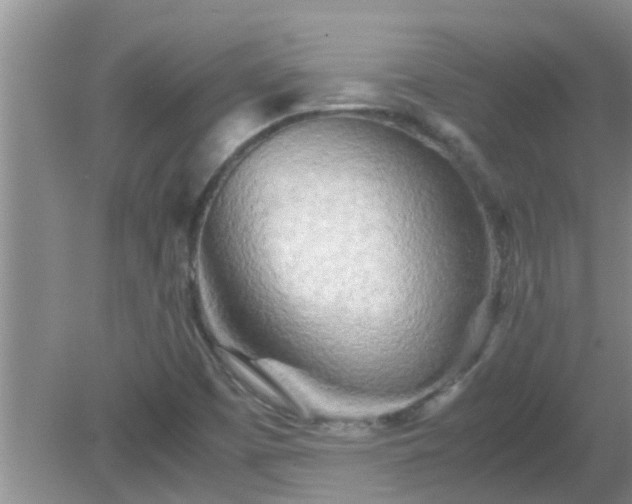 X0000081491457200701191846