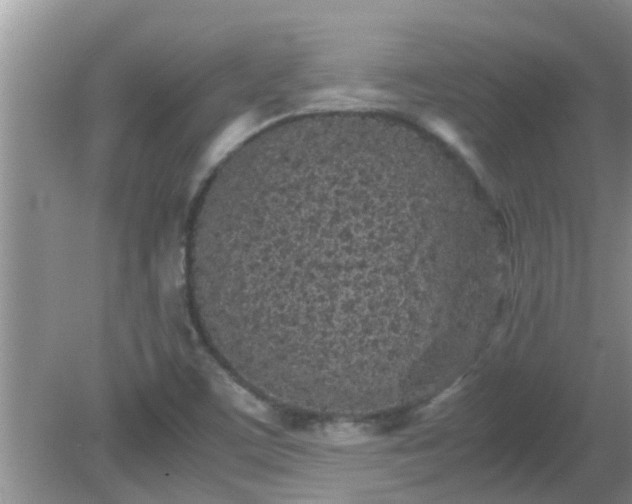 X0000081491459200701191846