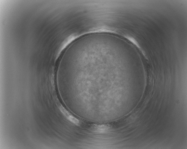 X0000081491460200701191846