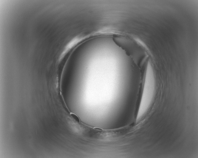 X0000081491461200701191846