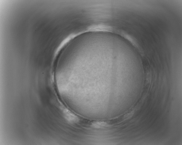 X0000081491462200701191846