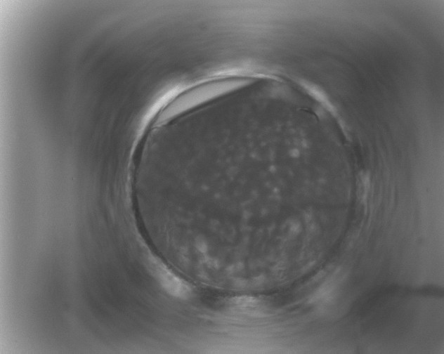 X0000081491463200701191846