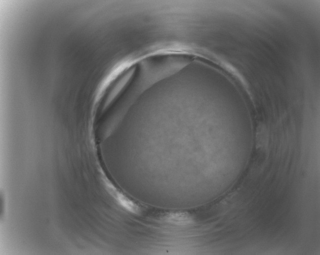 X0000081491464200701191846