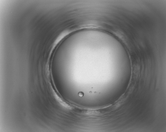 X0000081491466200701191846