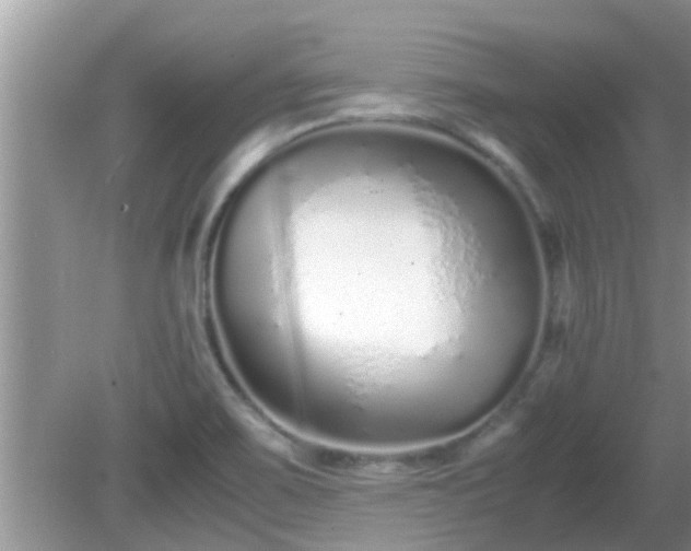 X0000081491467200701191846