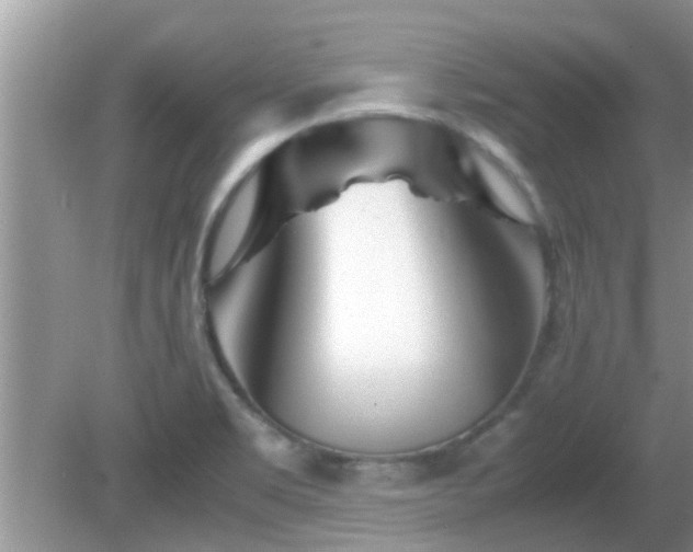 X0000081491469200701191846