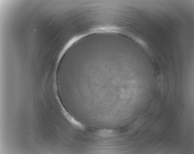 X0000081491470200701191845