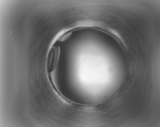 X0000081491472200701191845