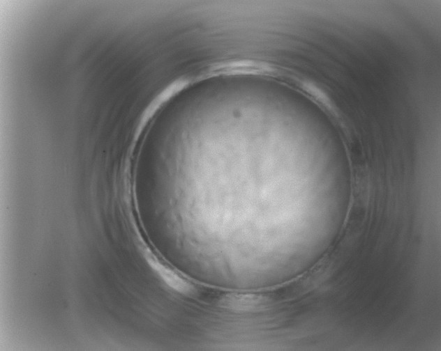 X0000081491474200701191845