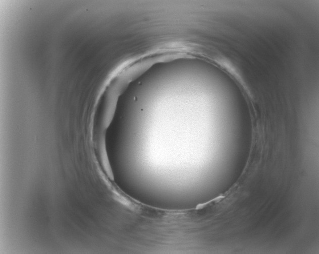 X0000081491477200701191845