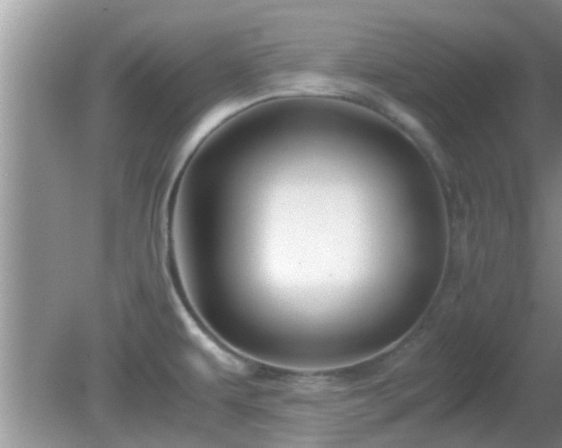 X0000081491479200701191845