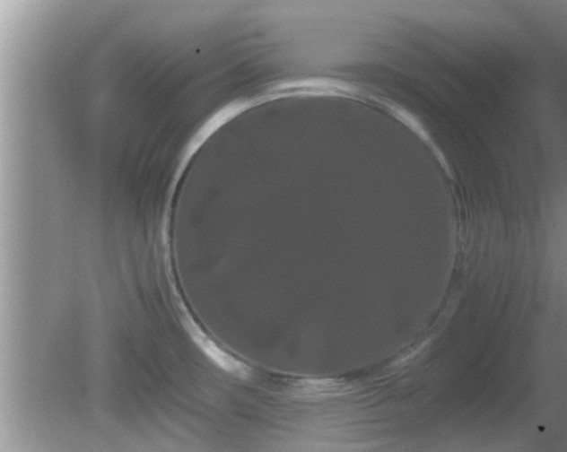 X0000081491482200701191845