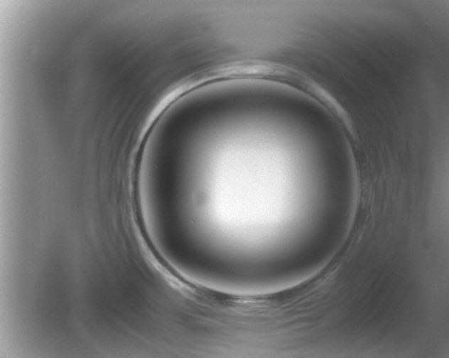 X0000081491483200701191845