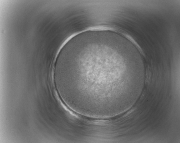 X0000081491484200701191845