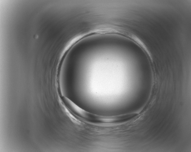 X0000081491485200701191845