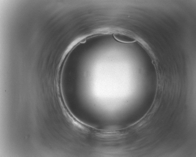 X0000081491486200701191845