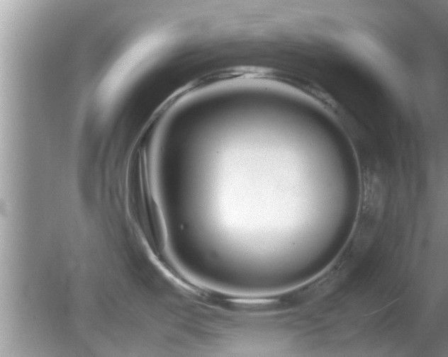 X0000081491487200701191845