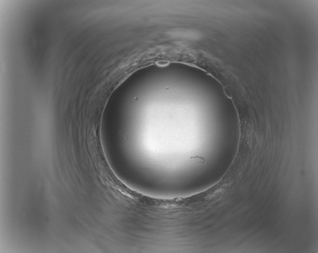 X0000081491489200701191844