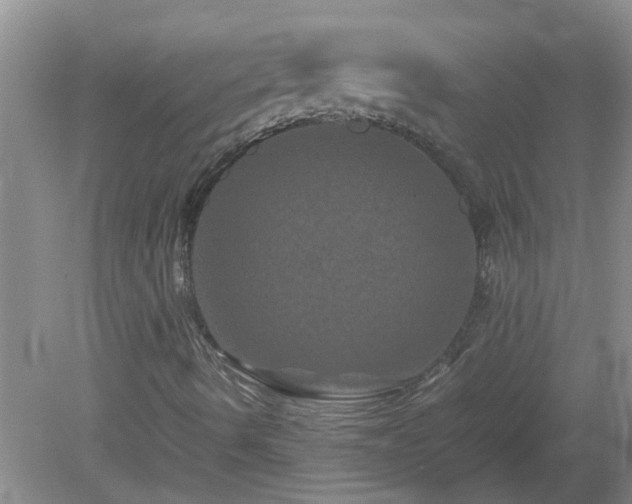 X0000081491490200701191844