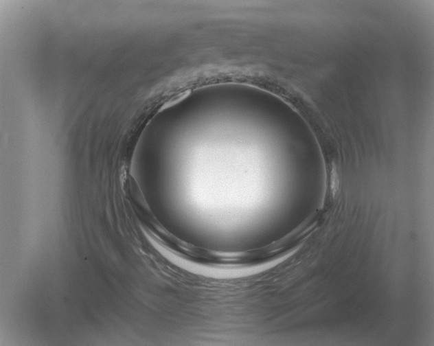 X0000081491492200701191844