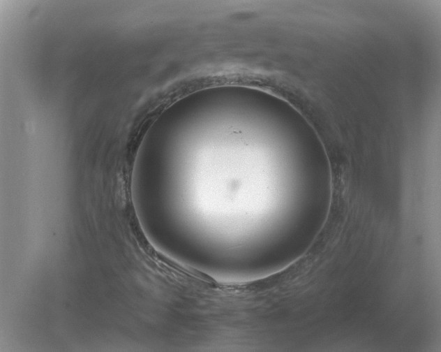 X0000081491493200701191844