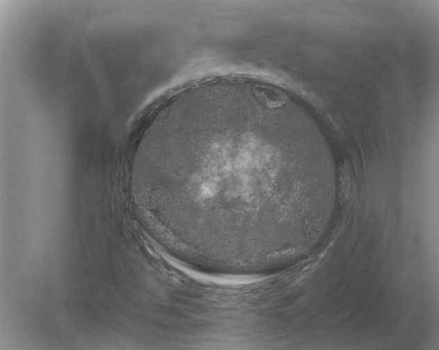 X0000081491494200701191844