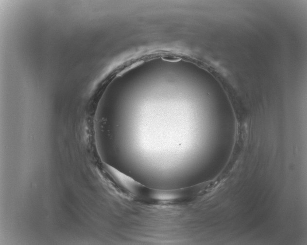 X0000081491496200701191844