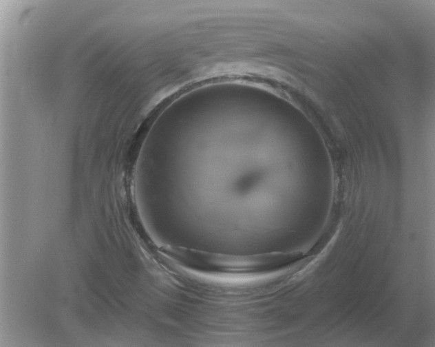 X0000081491497200701191845