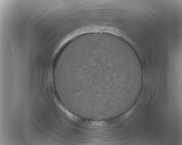 X0000081491498200701191845