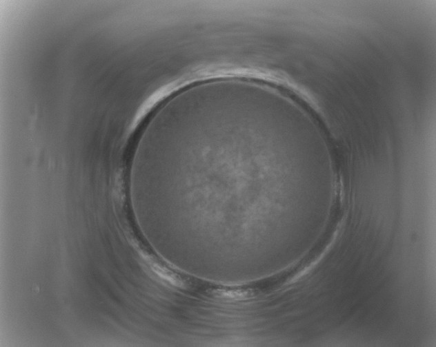 X0000081491501200701191845