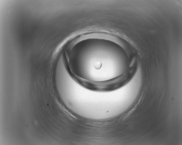 X0000081491502200701191845