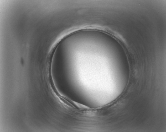 X0000081491504200701191845