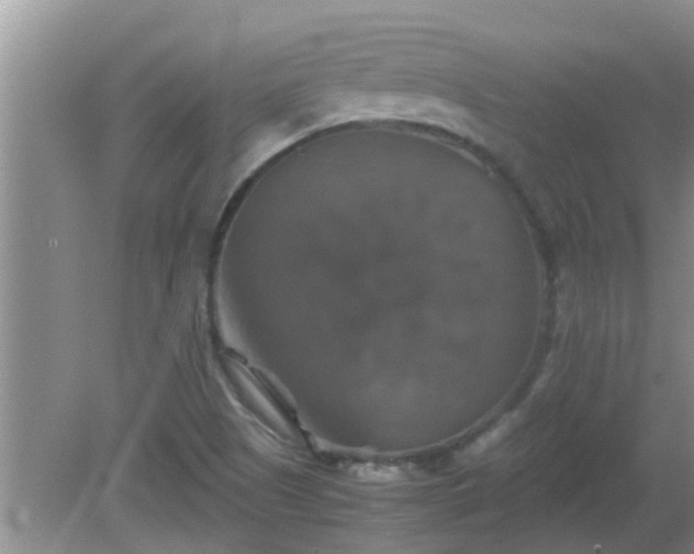 X0000081491505200701191845