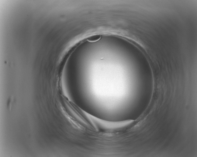 X0000081491507200701191845