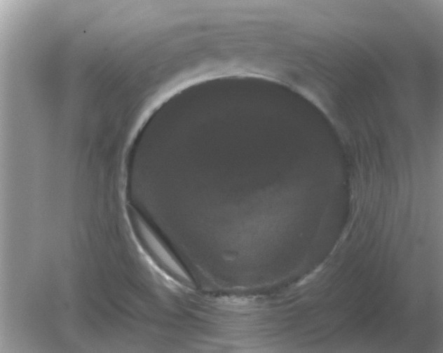 X0000081491508200701191845