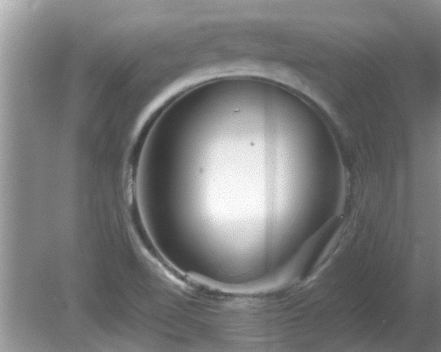 X0000081491510200701191845