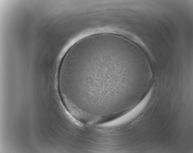 X0000081491512200701191845