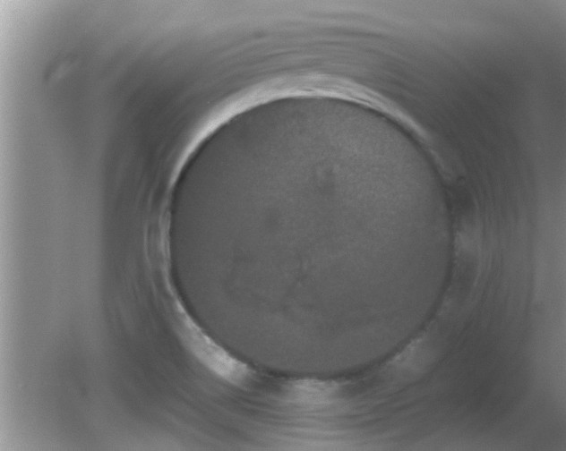 X0000081491514200701191845