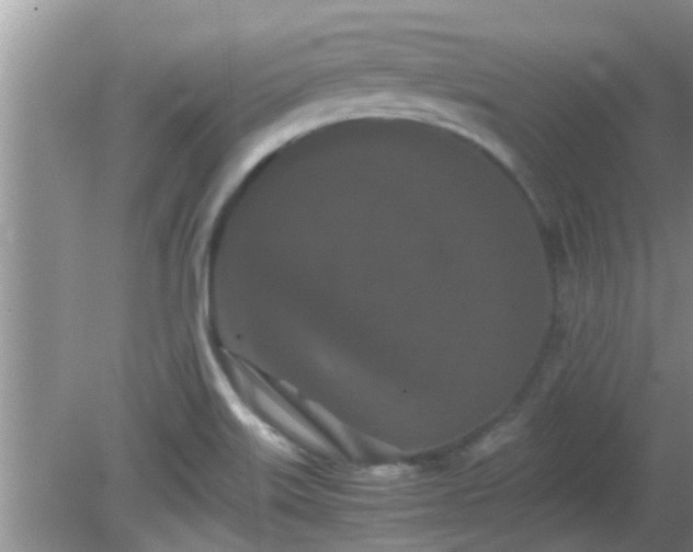 X0000081491515200701191845