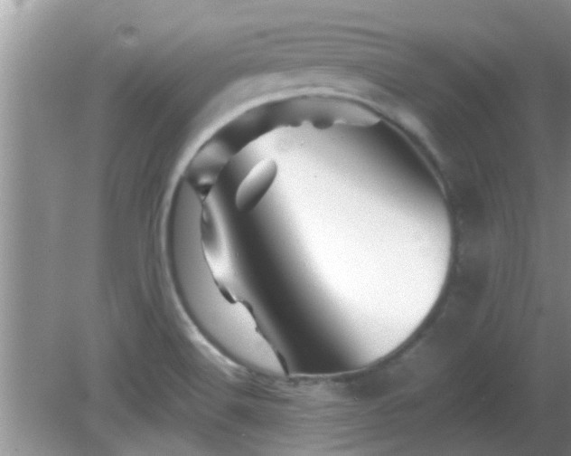 X0000081491516200701191845