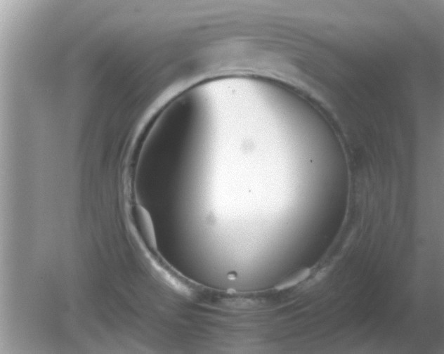 X0000081491517200701191845