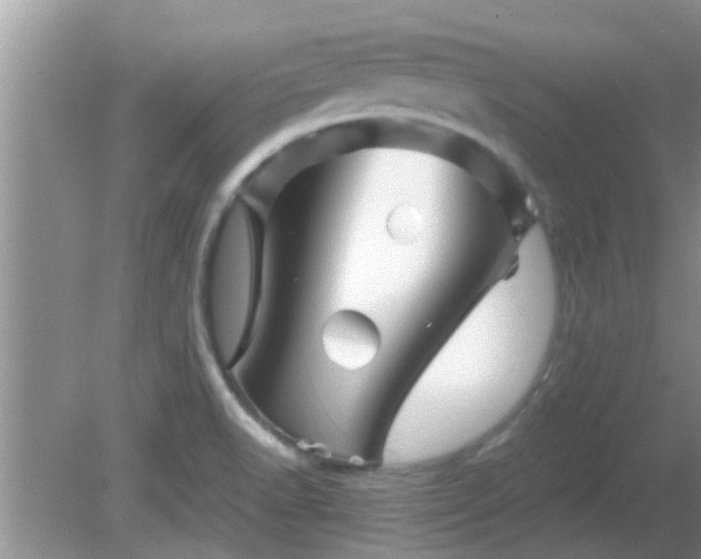 X0000081491518200701191845