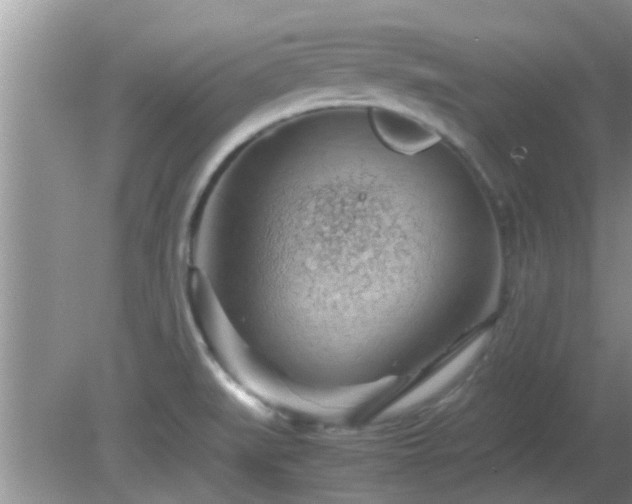 X0000081491519200701191845