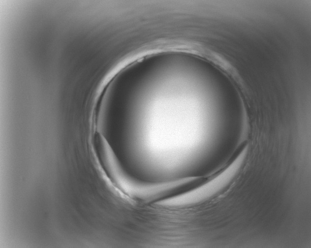 X0000081491520200701191845