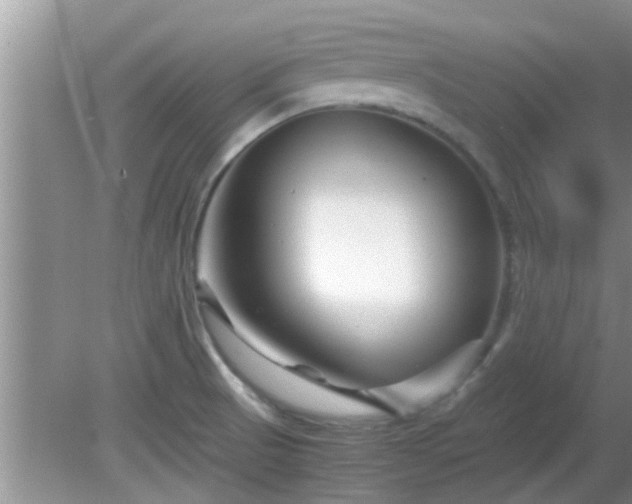 X0000081491521200701191845