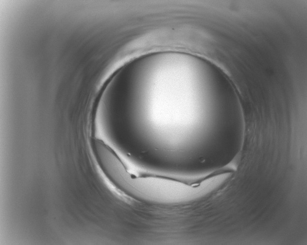 X0000081491523200701191845