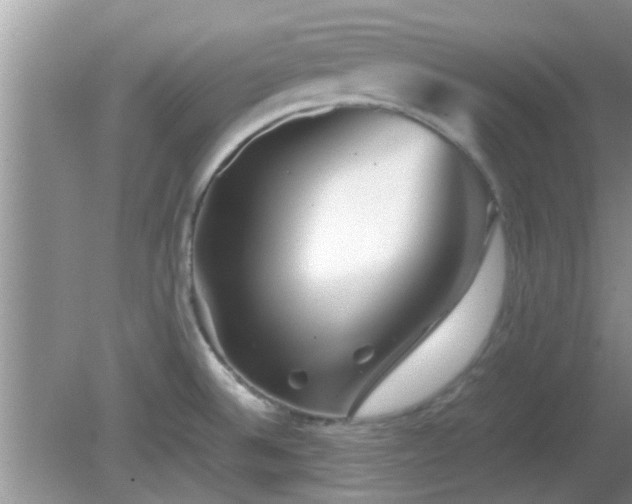 X0000081491524200701191845