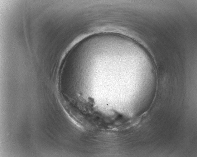 X0000081491525200701191845