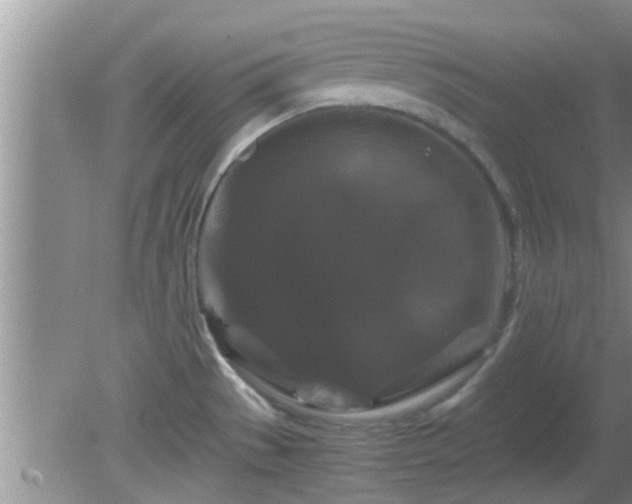 X0000081491529200701191845